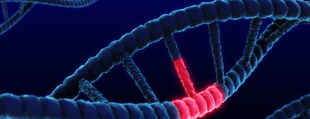 Path Coverage oder Mutation Testing?
